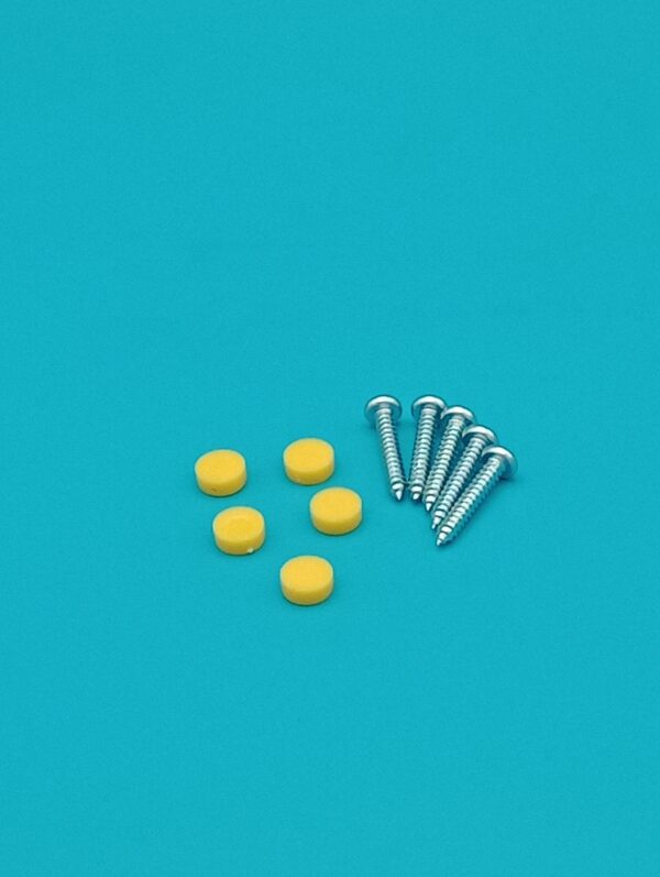 Step Trim Replacement Screw Kit